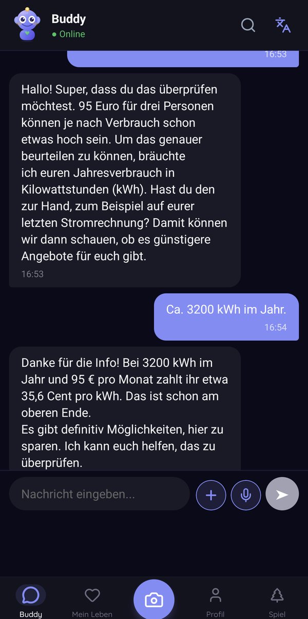 Screenshot of the Buddi app: chat with Buddy working out 35.6 cents per kWh from €95 electricity costs and 3200 kWh